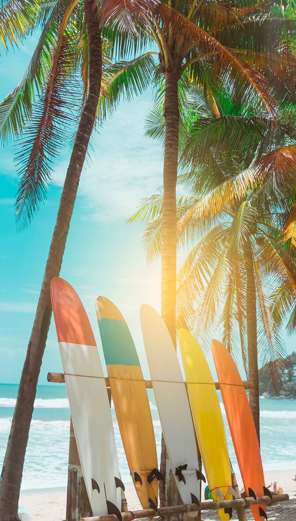 Designs Direct Surfs Up Wall Mural